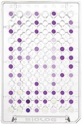 AN MicroPlate