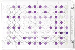 PM1 MicroPlate™ Carbon Sources