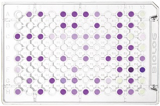 PM19 MicroPlate™ Bacterial chemical sensitivity