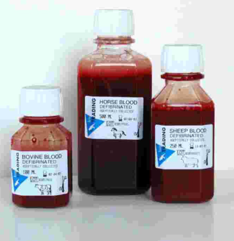 Horse serum Labema Life Science and Biotechnology expert