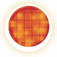 3M Petrifilm RCC rapid