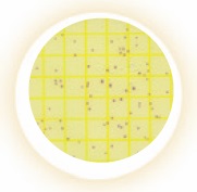 3M Petrifilm Env.listeria